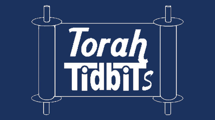 Torah Tidbits Issue 1365 - 28/03/20 Digital by Anglo Media - Issuu